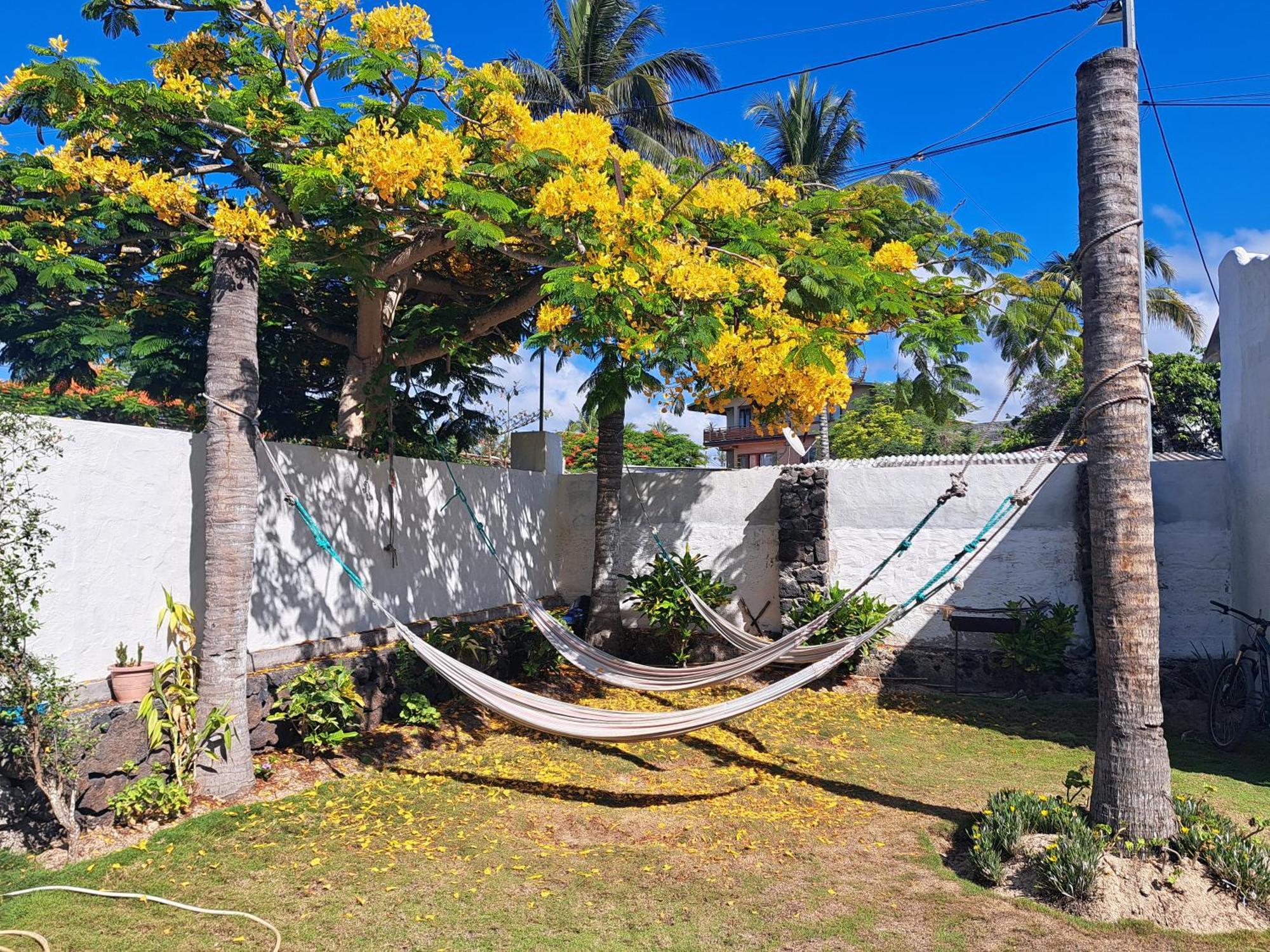 Hostal Tero Real Puerto Villamil Eksteriør billede